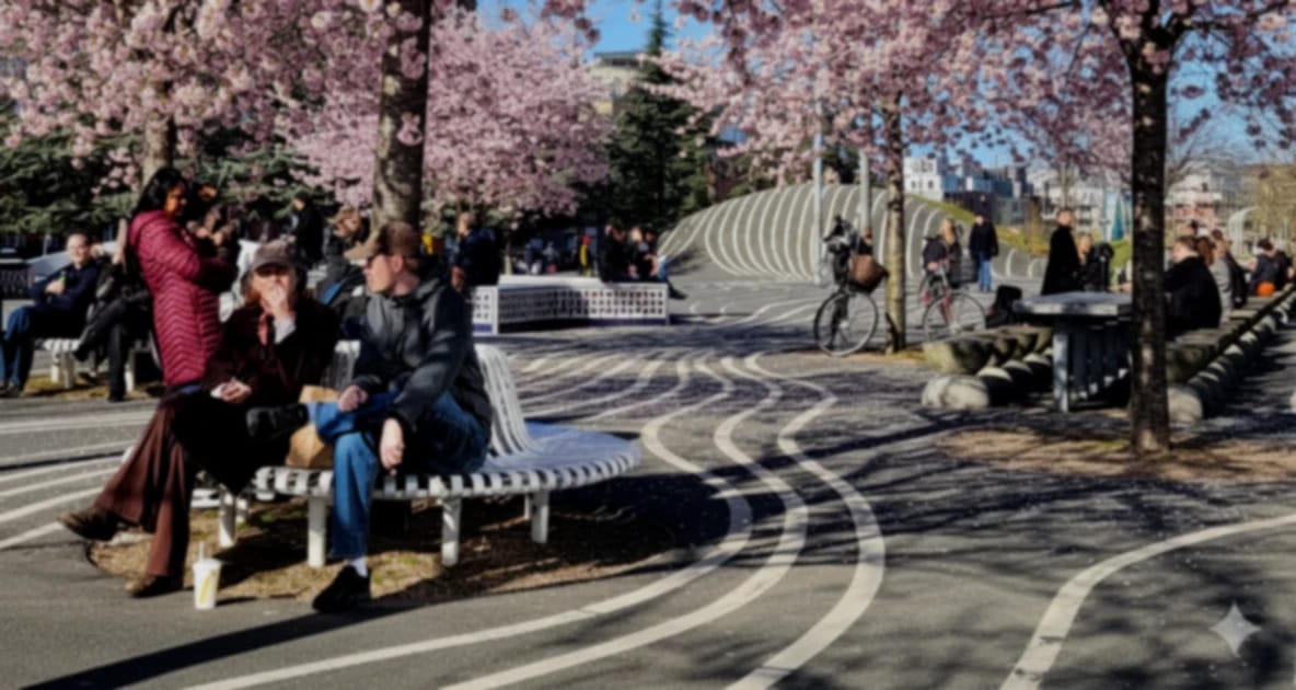 Nørrebro Tour