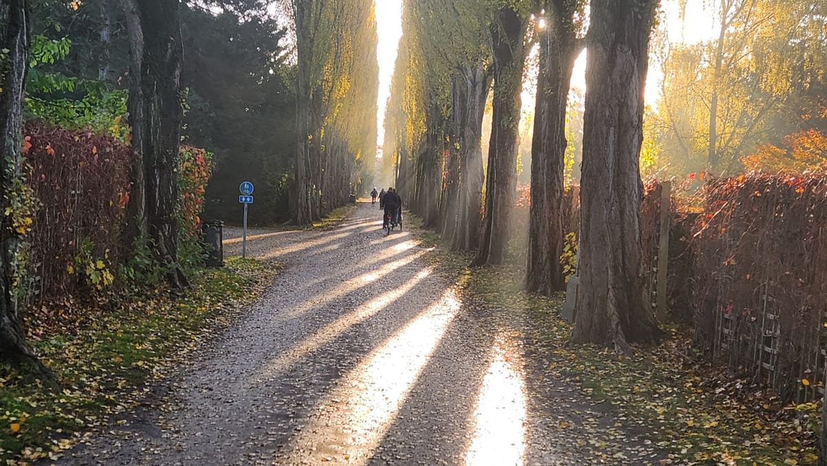 Small guided walking tour through  Assistens Kirkegård with a local guide